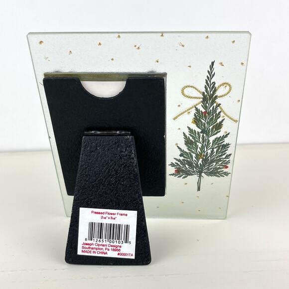 Cipriani Designs Pressed Flower in Glass Christmas Frame - Picture 5 of 7